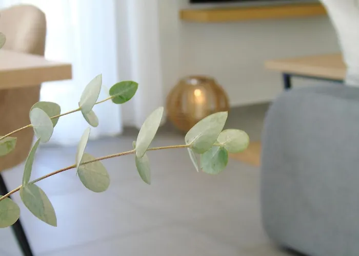 Grey Rose Apartment Kalambaka